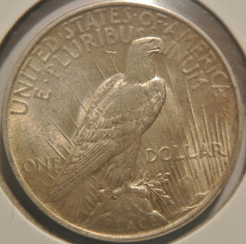 A-Bunch-Of-Silver-Dollars